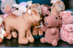 casa-do-artesao-centro-e-bioparque-8241