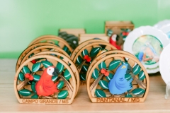 casa-do-artesao-centro-e-bioparque-8243