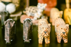 casa-do-artesao-centro-e-bioparque-8248