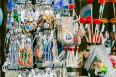 casa-do-artesao-centro-e-bioparque-8249