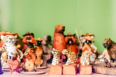 casa-do-artesao-centro-e-bioparque-8251