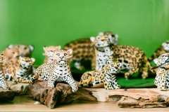 casa-do-artesao-centro-e-bioparque-8252