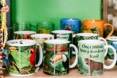 casa-do-artesao-centro-e-bioparque-8253