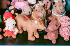 casa-do-artesao-centro-e-bioparque-8256