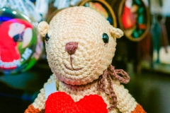 casa-do-artesao-centro-e-bioparque-8257