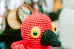 casa-do-artesao-centro-e-bioparque-8258