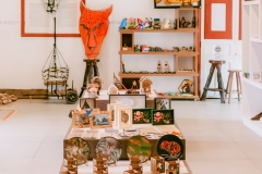 casa-do-artesao-centro-e-bioparque-8264