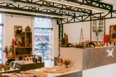 casa-do-artesao-centro-e-bioparque-8266