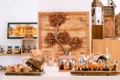 casa-do-artesao-centro-e-bioparque-8268