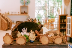 casa-do-artesao-centro-e-bioparque-8277