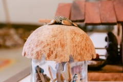 casa-do-artesao-centro-e-bioparque-8281