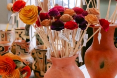 casa-do-artesao-centro-e-bioparque-8346