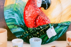 casa-do-artesao-centro-e-bioparque-8347