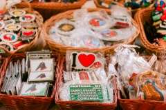 casa-do-artesao-centro-e-bioparque-8373