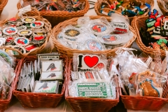 casa-do-artesao-centro-e-bioparque-8374