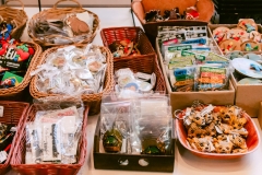 casa-do-artesao-centro-e-bioparque-8375