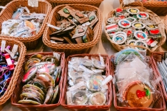 casa-do-artesao-centro-e-bioparque-8376