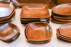 casa-do-artesao-centro-e-bioparque-8378