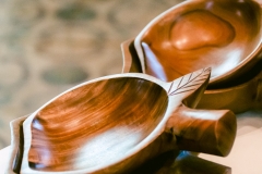 casa-do-artesao-centro-e-bioparque-8379