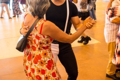 cultura-em-movimento-Jaques-da-Luz-5990