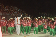 desfile das escolas de samba do grupo especial-7307