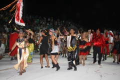 desfile das escolas de samba do grupo especial-7430
