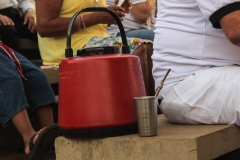 dia do chamamé-6777