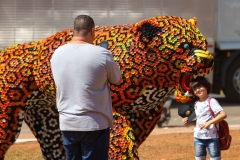 WhatsApp-Image-2024-08-23-at-15.15.04-1