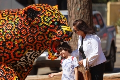 WhatsApp-Image-2024-08-23-at-15.15.05