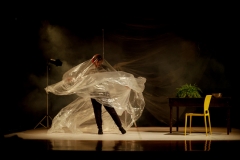 Espetaculo-Teatral-Seco-com-Fulano-Di-Tal-8587