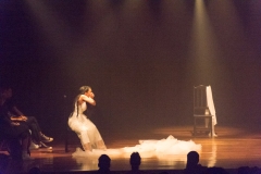 Espetaculo-Teatral-–-Valsa-no-06-Tauanne-Gazoso-2957