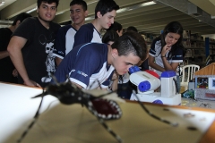 Foto Edemir Rodrigues (1)