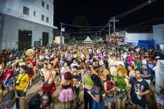 farofolia-blco-do-reggae-e-bloco-so-love-1370
