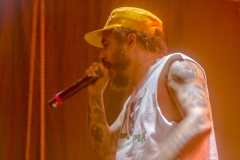 marcelo-D2-4295