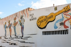 Vivencia-Cururueira-foto-Elias-Campos-7228