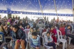 Várias artes-4