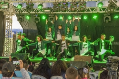 Várias artes-44