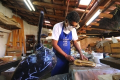Foto Edemir Rodrigues (18)