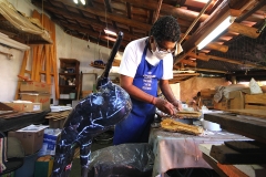 Foto Edemir Rodrigues (19)