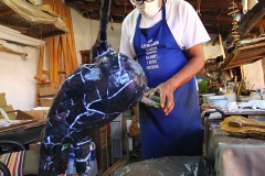 Foto Edemir Rodrigues (20)