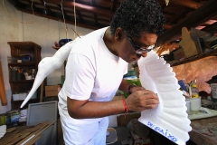 Foto Edemir Rodrigues (29)