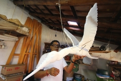 Foto Edemir Rodrigues (33)