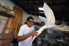 Foto Edemir Rodrigues (4)