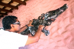 Foto Edemir Rodrigues (8)