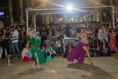 MS-ao-vivo-Lenine-2882