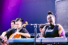 ORQUESTRA-15