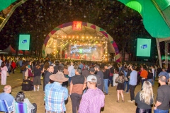 bandas-de-bonito-quarta-121