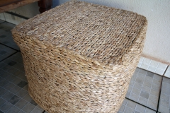 Foto Edemir Rodrigues (9)