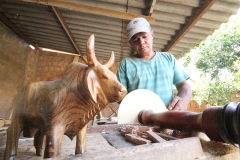 Foto Edemir Rodrigues (10)