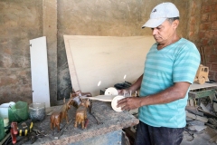 Foto Edemir Rodrigues (7)
